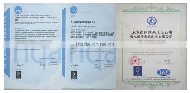 ISO/IAF/IMO manufacturer chitosan chemical/cosmetic/agricultural grade powder