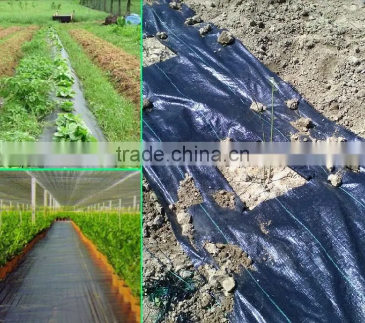 competitive price geotextile manufacturers in china for construction