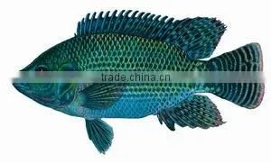 floating fish feed pellet extruder machine for fish, catfish, shrimps, crab