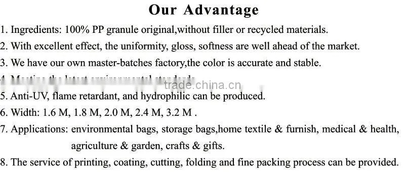 Alibaba China Customized Colorful Polypropylene Non-woven Shopping Bag