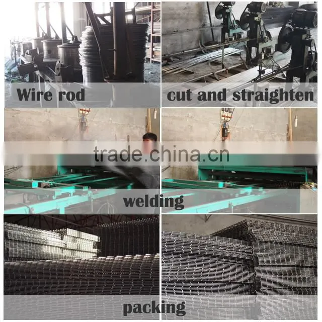 Welded Double Wire Mesh 6/5/6 25x200