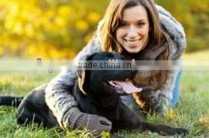 Dog slicker brush, Pet and dog brush, Dog pin brush