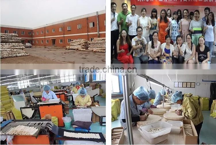 Biodegradable Disposable Wooden Cutlery ,Disposable Bamboo Cutlery