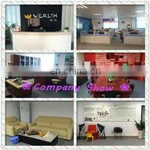 Guangzhou Wealth International Trading Co., Ltd. company overview - view 1