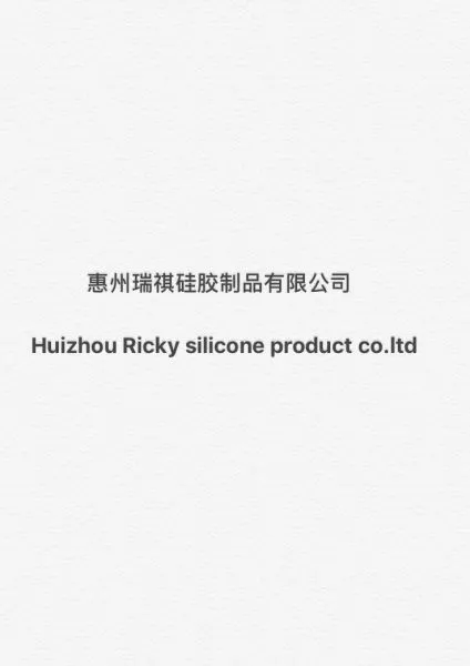 Huizhou Ricky Silicone Products Limited Company company overview - view 1