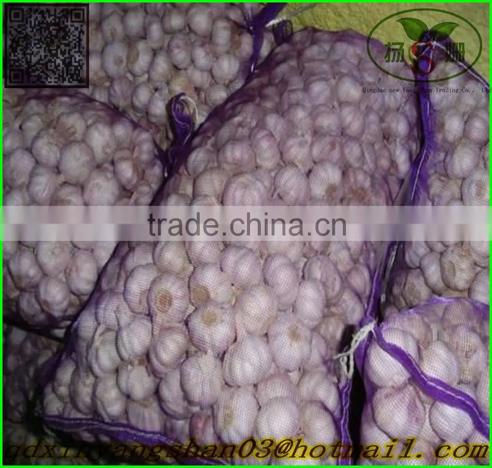 (HOT) chinese normal white garlic