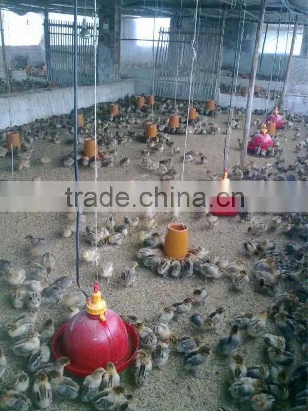 Automatic poultry bell drinker