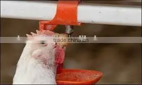 water nipple drinker chicken for poutry equipment