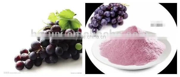 vacuum powder continuous dryer for grape powder