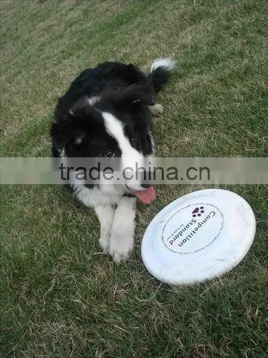 ultimate folding frisbee