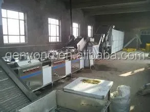 Raisin Cleaning Machine for the Raisin Processing
