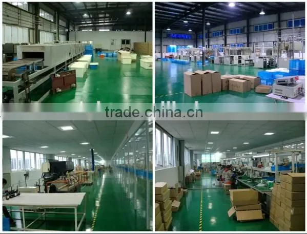 Suburb Road 40W 60W 80W 100W induction Street Light