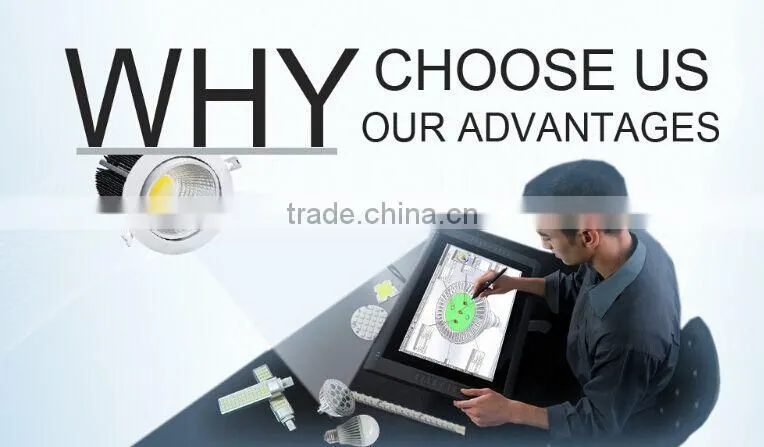 high quality 50W COB led floodlight with MW Driver