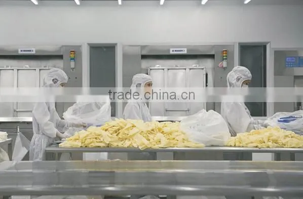 medical latex gloves,latex surgical gloves natural latex