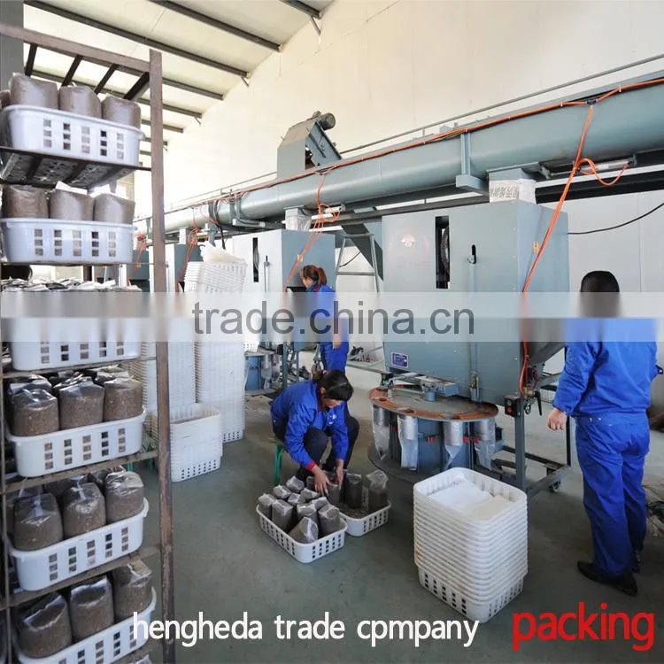 best selling Chinese style fresh mushroom in plastic drums