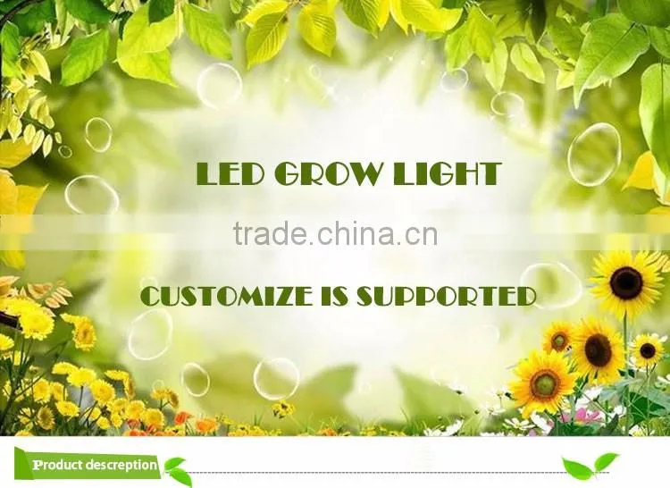 Hydroponic systems E27 PAR38 led light bulbs for tiny houses using