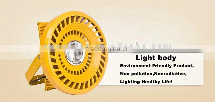 CE RoHS 80W Outdoor IP65 Waterproof Flood LED Lights