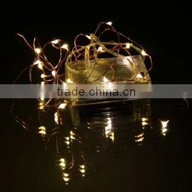 2 meters 20 lights Warm white color Copper Wire LED Micro Fairy String lgiht for wedding decoration.