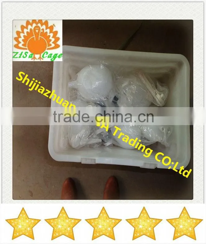 poultry feeders, drinkers ,accessories