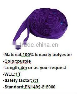 hot sale manufactory polyester webbing sling/cargo web/lifting strap 5T