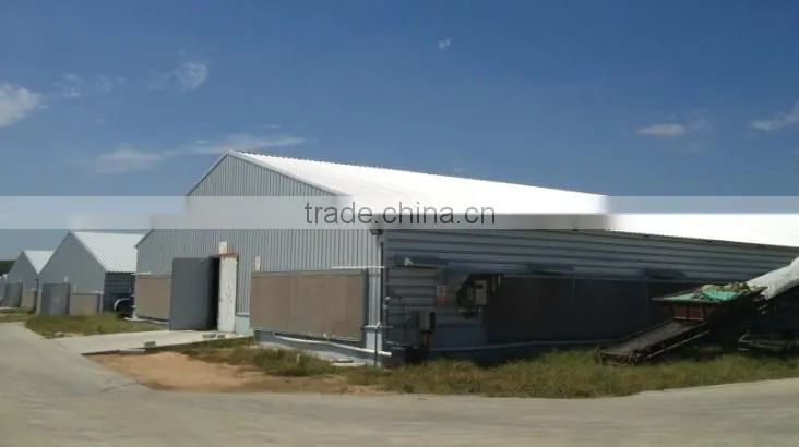 Industry professional chicken shed for egg hens layer