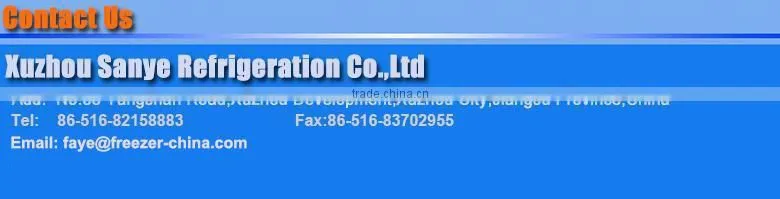 Single-temperature high capacity commercial popsicles dispaly freezer chest freezer