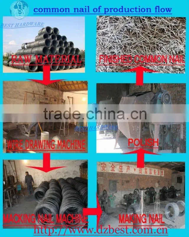 Round head nail Polished nail Iron nail Wire nails Common nails