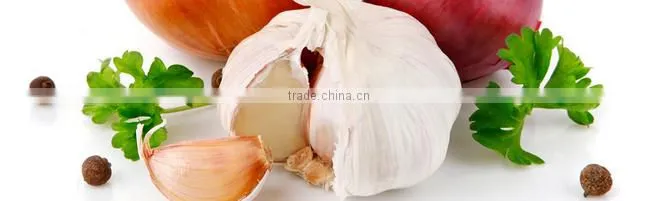 2016 new crop natural white garlic in purple mesh bag