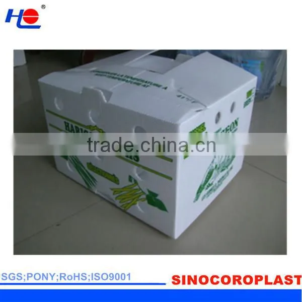 anti-static and colorful plastic polypropylene not mildew box
