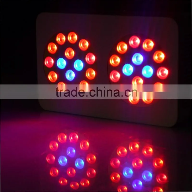 good price spider cob led grow light