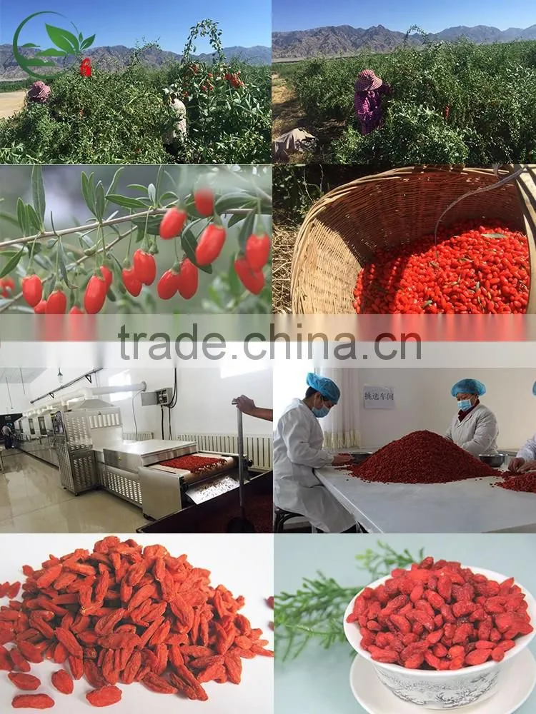 High Quality Organic Certified Goji Berries