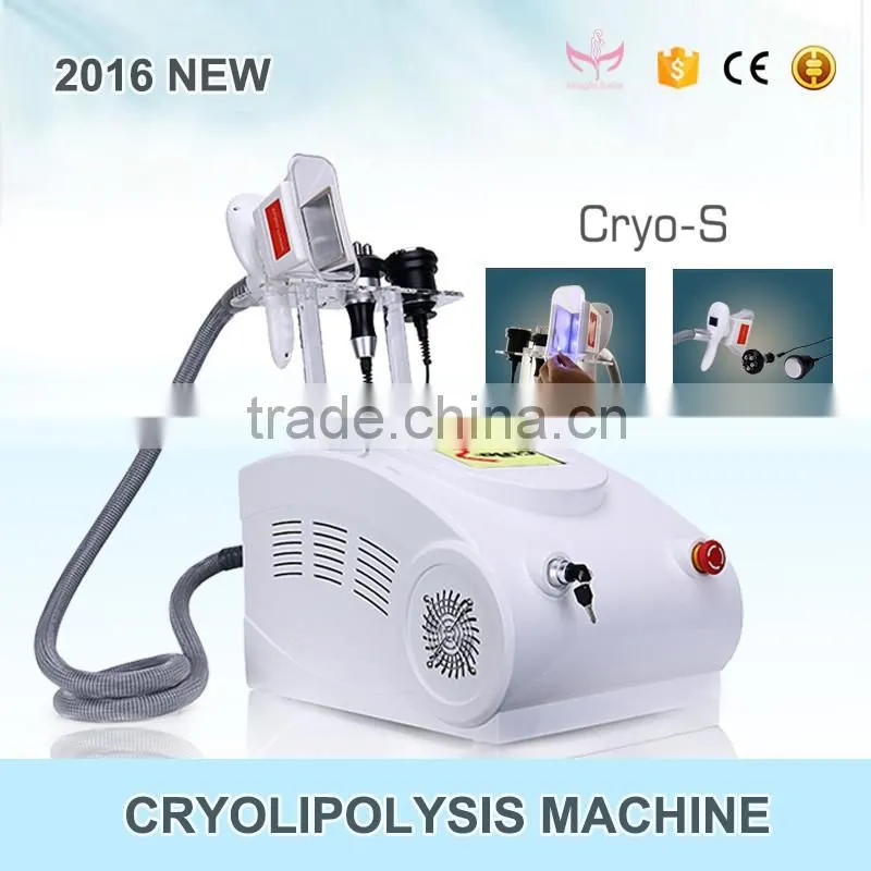 2016 Hot Sale Freeze Fat Machine!! 3 in 1 Cryolipolysis Slimming Machine in China