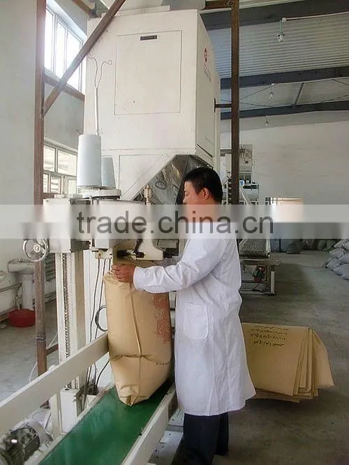 2011 crop sunflower seed kernels chips broken kernels