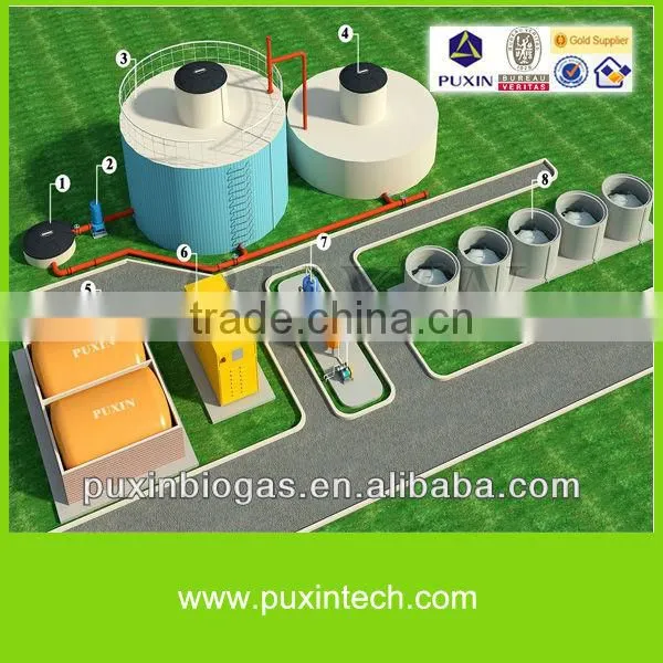 Hot sale Chinese PUXIN biogas digester for large farms or pastures