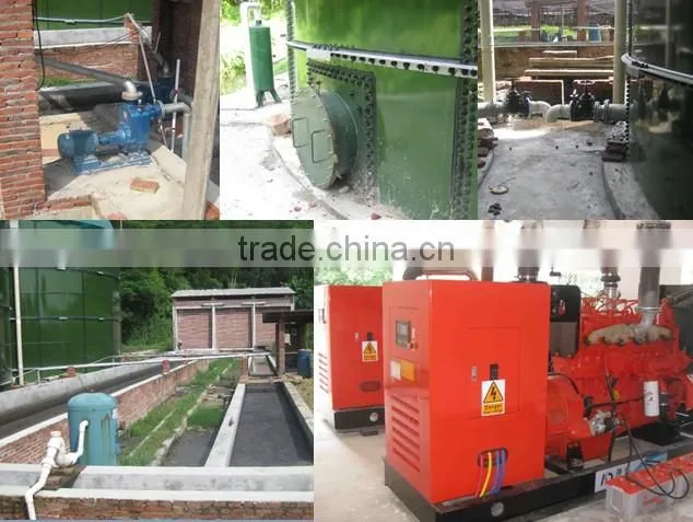 Camda 50KW biogas/natural gas generator