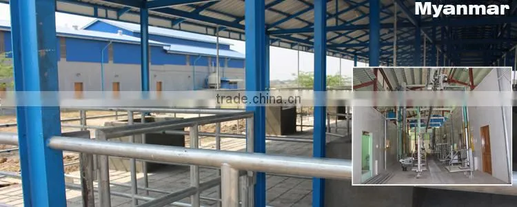 High Quaility Sheep Slaughterhouse Equipment Sheep/goat Dehair Machine Butchery Equipment Of Goat Abattoir Line