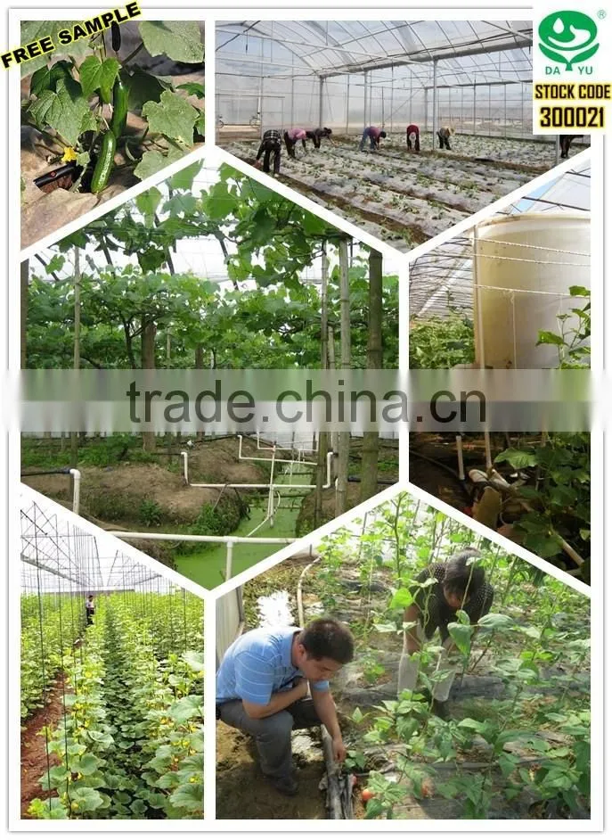 DAYU Irrigation - Drip Tape for Farmland and Forestry watering tube