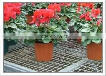 Greenhouse seedbed benches for cultivation system