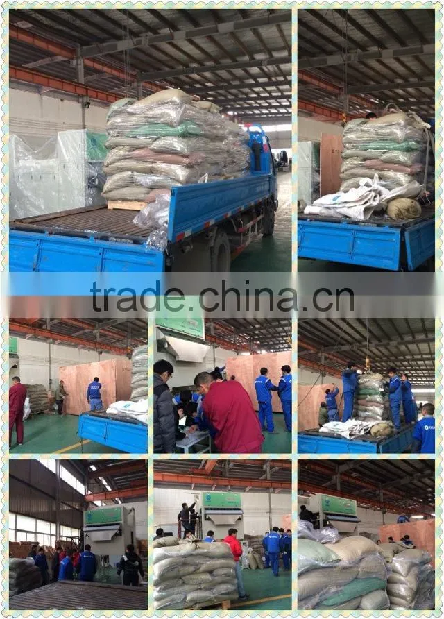 Belt Model Sorting Machine for Soybeans with Nikon Lens 0086 371 65866393