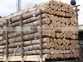 115 Reliable manufactory bamboo tooth pick making machinery
