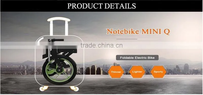 Leadway 300cc trike folding electric hoverboard scooter