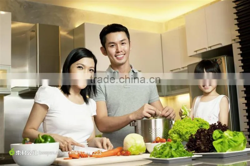 Household Stainless Steel kitchen utensil Vegetable Slicer
