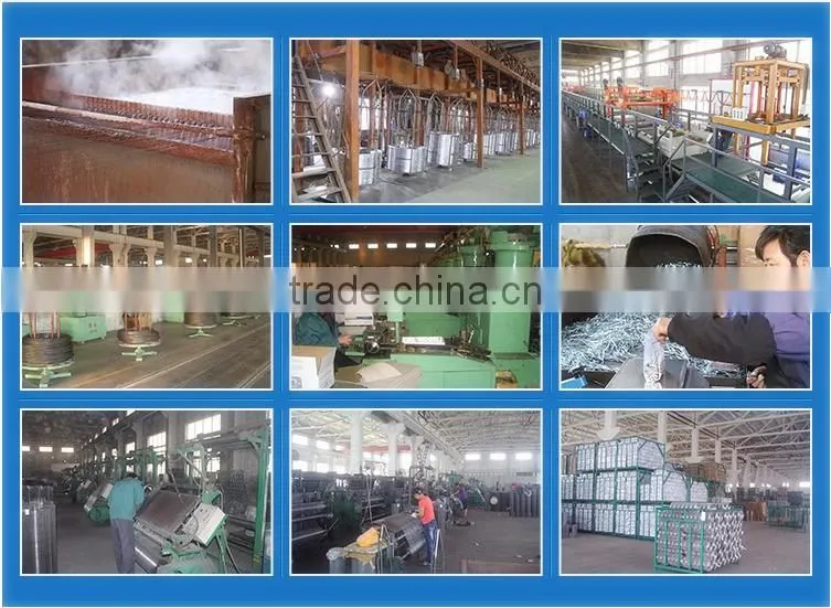 common nail iron nail factory