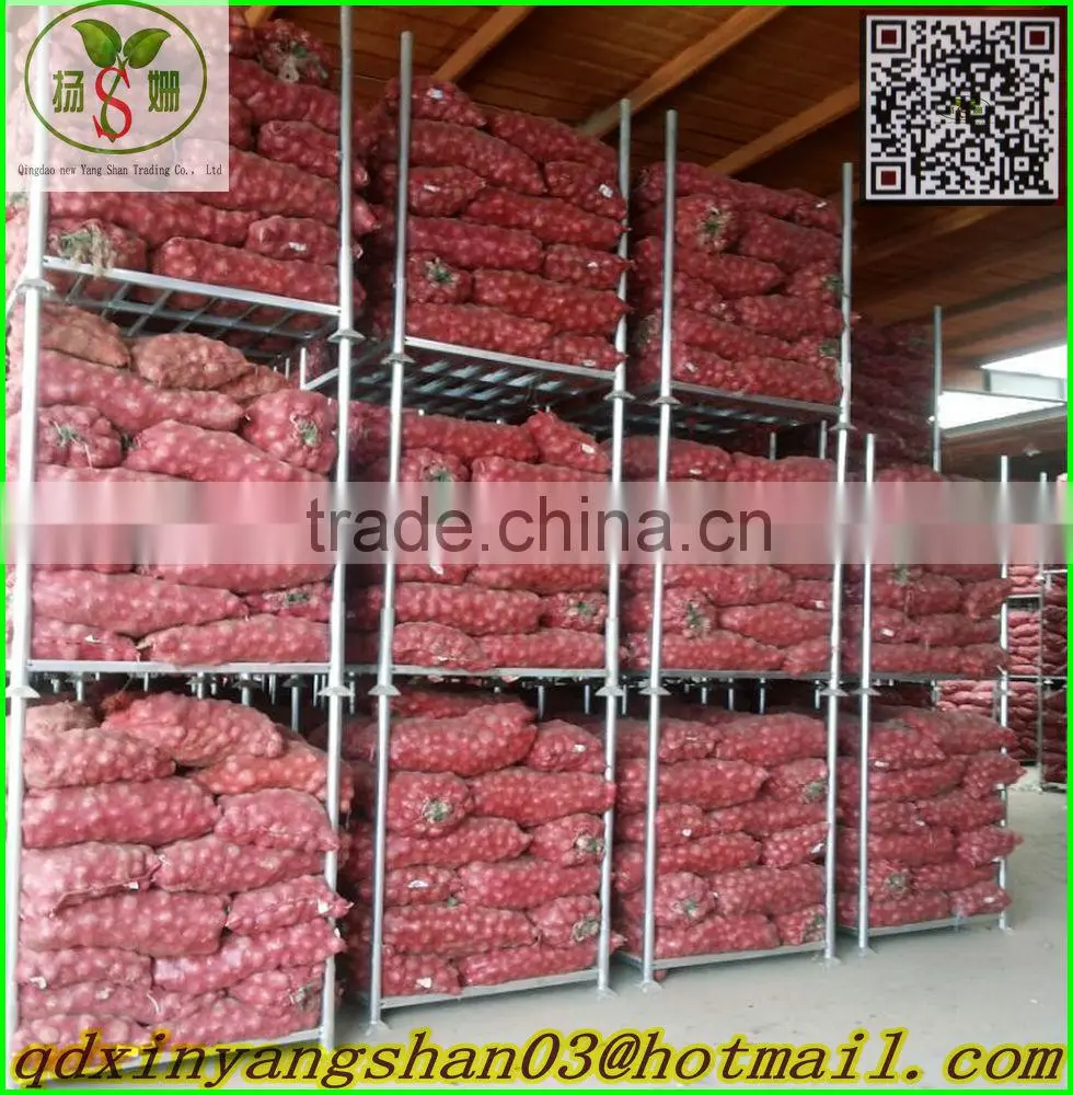 Red onion/Shallot/Red Scallions -(Skype:qdxinyangshan03)
