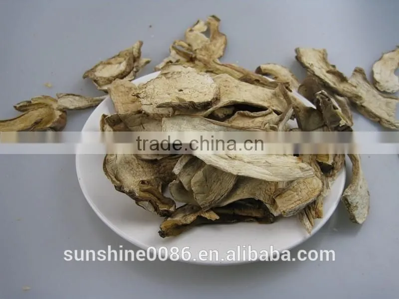 High Quality High Quality Dried Boletus Mushroom in Yunnan