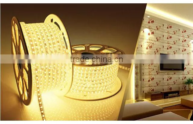 Christmas Decor LED String Lights Outdoor Use 110V 50M/Roll waterproof