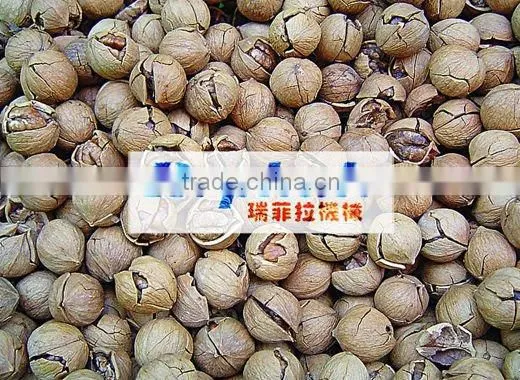 automatic walnut crusher high crushing speed