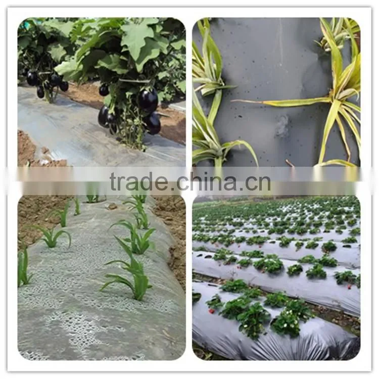 selling plastic 0.04mm vegetable mulch film made of HDPE