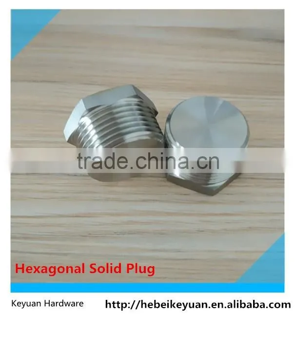 ANSI 316 Screwed Plug Fitting BSP Male Taper Thread Cast Technic