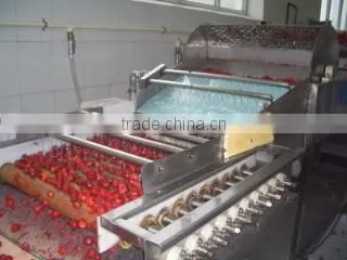 Nanjing Frostar Fruits & Vegetables Co., Ltd. company overview - view 1